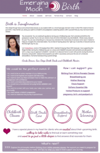 childbirth_classes_website childbirth_classes_website