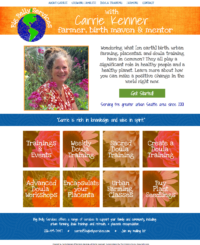 bigbellyhome-1 doula_training_website